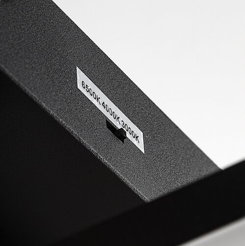 Amilia (71386)
