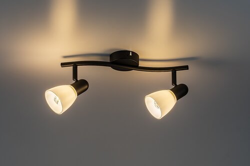 Soma (73092)