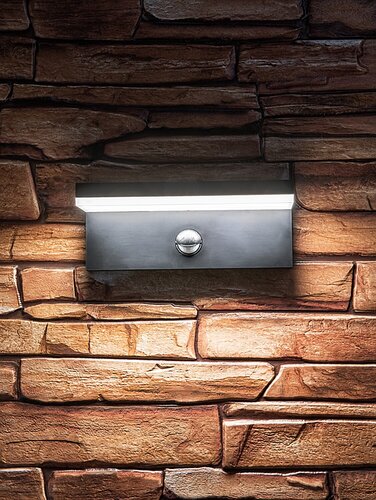 Zaragoza (77115)